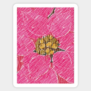 pink poinsettia flower Sticker